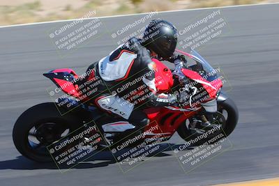 media/Apr-09-2023-SoCal Trackdays (Sun) [[333f347954]]/Turn 12 Inside (930am)/